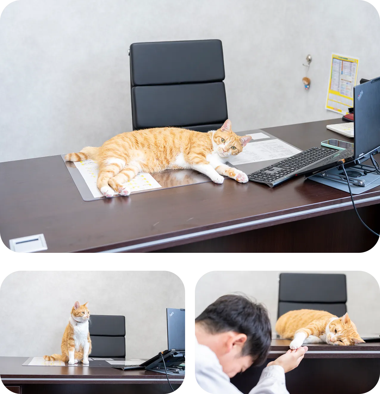 社長室
