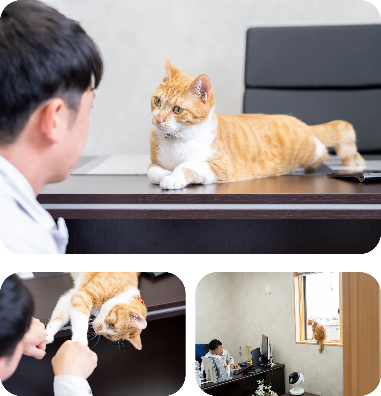 指導